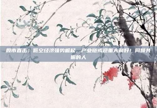 股市直击：低空经济强势崛起，产业链或迎重大利好！同频共振的人