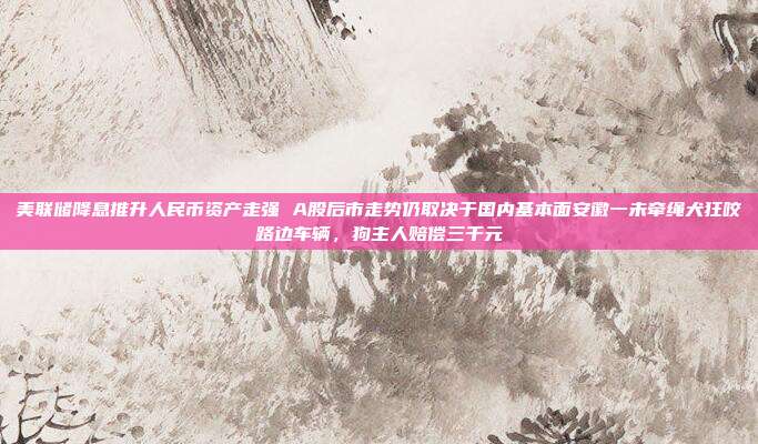 美联储降息推升人民币资产走强 A股后市走势仍取决于国内基本面安徽一未牵绳犬狂咬路边车辆，狗主人赔偿三千元