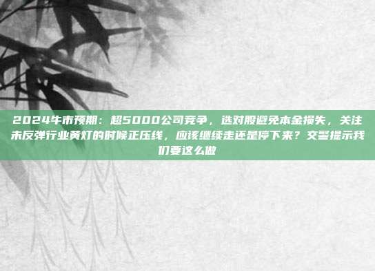 2024牛市预期：超5000公司竞争，选对股避免本金损失，关注未反弹行业黄灯的时候正压线，应该继续走还是停下来？交警提示我们要这么做