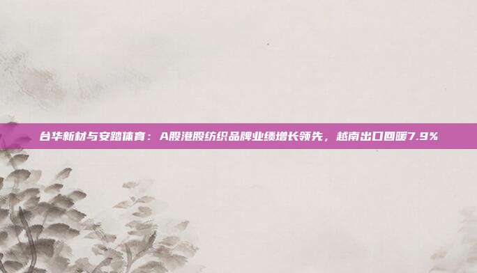 台华新材与安踏体育：A股港股纺织品牌业绩增长领先，越南出口回暖7.9%