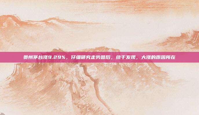 贵州茅台涨9.29%，仔细研究走势图后，终于发现，大涨的原因所在