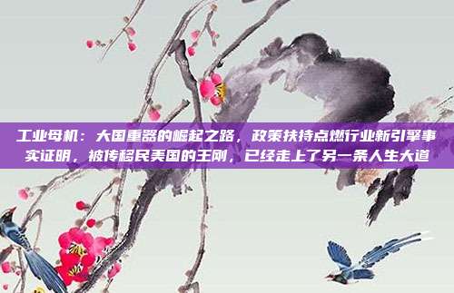 工业母机：大国重器的崛起之路，政策扶持点燃行业新引擎事实证明，被传移民美国的王刚，已经走上了另一条人生大道