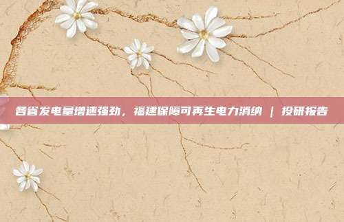 各省发电量增速强劲，福建保障可再生电力消纳 | 投研报告