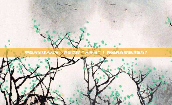 中概股全线大涨后，外资态度“大转弯”！领涨的百度处境如何？